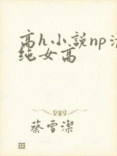 高h小说np清纯女高