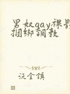 男奴gay裸体捆绑调教
