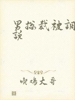 男总裁被调教小说