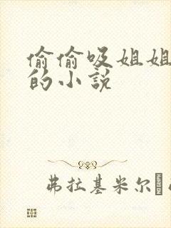 偷偷吸姐姐乳头的小说封面