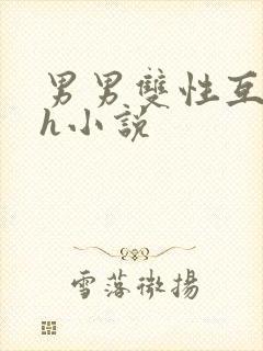 男男双性互攻高h小说