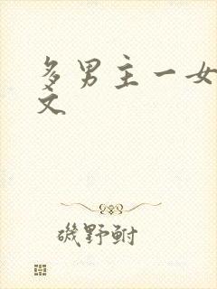 多男主一女主h文
