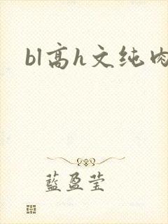 bl高h文纯肉封面