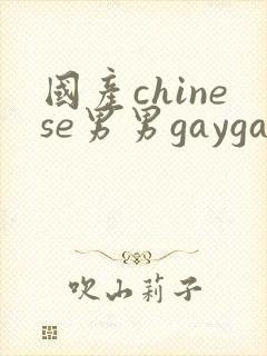 国产chinese男男gaygay1069