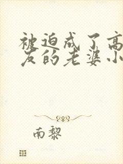 被迫成了高冷室友的老婆小说阅读免费