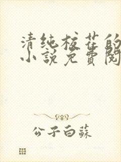 清纯校花的日常小说免费阅读