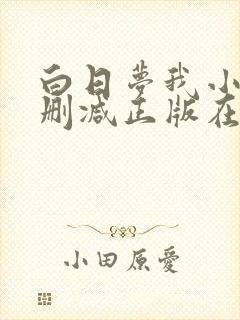 白日梦我小说无删减正版在线阅读