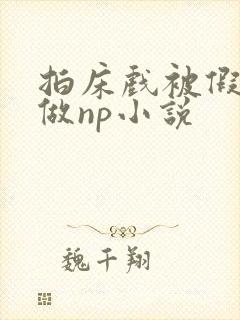 拍床戏被假戏真做np小说封面