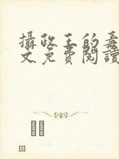 摄政王的毒妃全文免费阅读