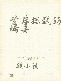 首席总裁的高冷娇妻