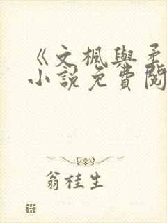 《文枫与柔佳》小说免费阅读