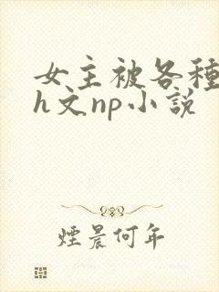 女主被各种调教h文np小说