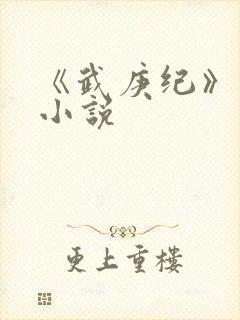 《武庚纪》原著小说