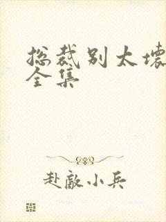 总裁别太坏小说全集