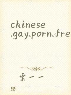 chinese.gay.porn.free封面