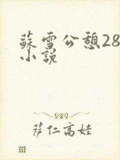 苏雪公憩28篇小说