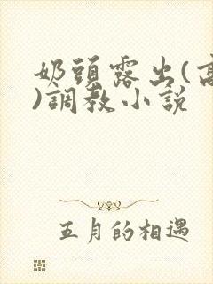 奶头露出(高h)调教小说