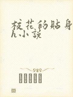 校花的贴身高手h小说封面