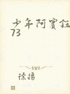 少年阿宾钰慧篇73封面