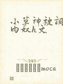 小草神被调教成肉奴h文