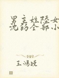 男主姓陆女主姓沈的全部小说