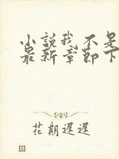 小说我不是戏神最新章节下载封面