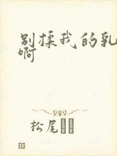 别揉我的乳头嗯啊封面