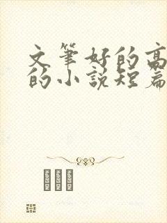 文笔好的高质量的小说短篇言情