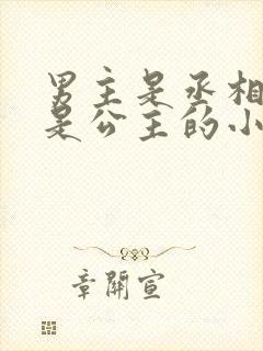 男主是丞相女主是公主的小说