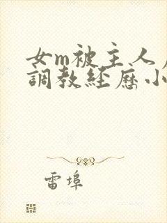 女m被主人虐玩调教经历小说