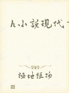 h小说现代言情