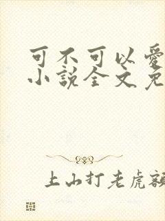 可不可以爱上我小说全文免费阅读