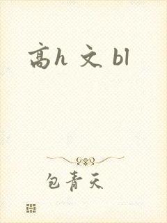 高h 文 bl