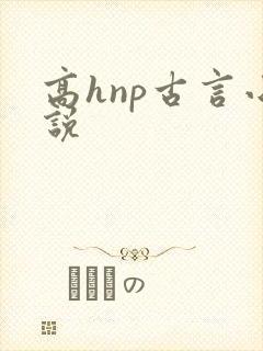 高hnp古言小说