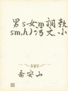 男s女m调教(sm,h)污文小说