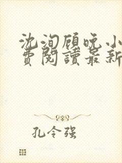 沈洵顾晚小说免费阅读最新章节封面