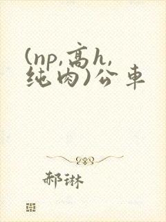 (np,高h,纯肉)公车