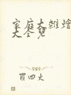 家庭大杂烩小说大全儿