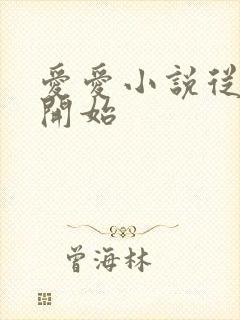 爱爱小说从破处开始