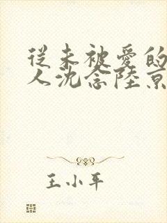 从未被爱的可怜人沈念陆京泽