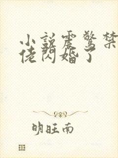 小说震惊禁欲大佬闪婚了