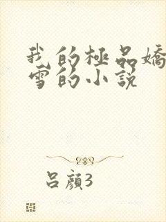 我的极品娇妻沈雪的小说