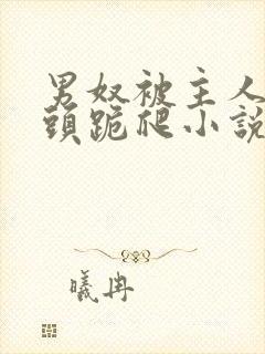 男奴被主人拽奶头跪爬小说