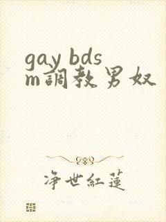 gay bdsm调教男奴封面