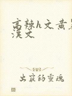 高辣h文黄暴糙汉文封面