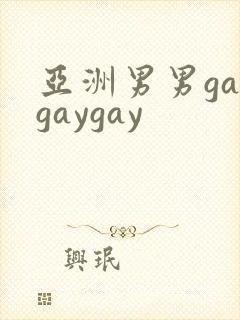 亚洲男男gaygaygay