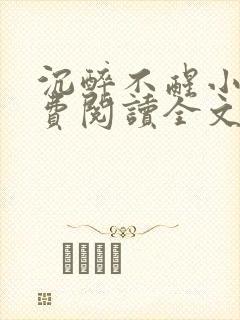 沉醉不醒小说免费阅读全文无弹窗