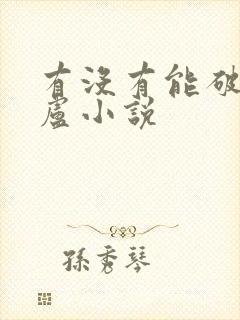 有没有能破解飞卢小说