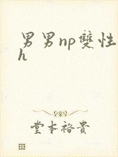 男男np双性高h封面