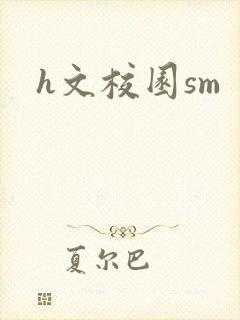 h文校园sm